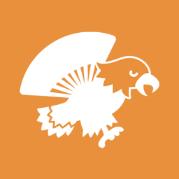 チラシ限定のお得な初回キャンペーン